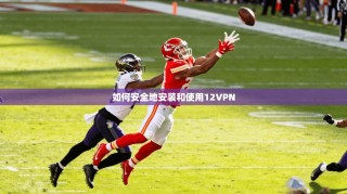 如何安全地安装和使用12VPN