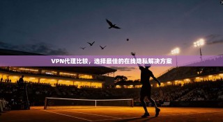 VPN代理比较，选择最佳的在线隐私解决方案