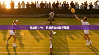 专业的VPN，构建安全的数字边界
