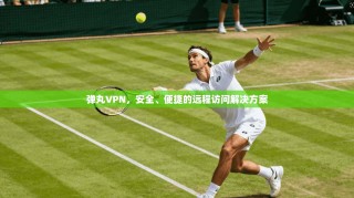 弹丸VPN，安全、便捷的远程访问解决方案