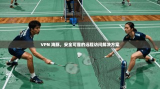 VPN 海豚，安全可靠的远程访问解决方案