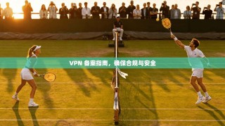 VPN 备案指南，确保合规与安全