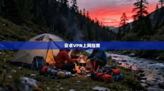 安卓VPN上网指南