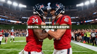 雨燕VPN，为您的网络安全保驾护航