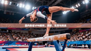 国内各省VPN解析，现状、优势与挑战
