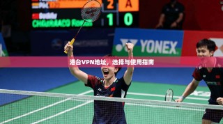 港台VPN地址，选择与使用指南