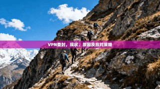 VPN查封，现状、原因及应对策略