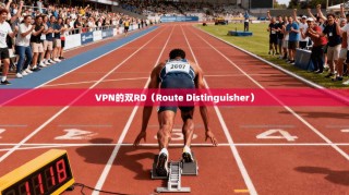 VPN的双RD（Route Distinguisher）