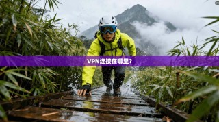 VPN连接在哪里？