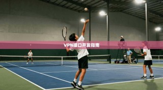 VPN接口开发指南