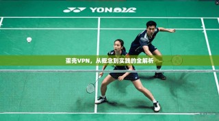 蛋壳VPN，从概念到实践的全解析