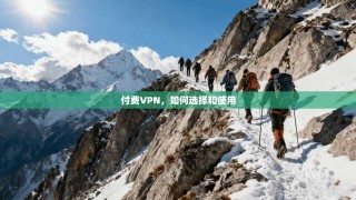 付费VPN，如何选择和使用