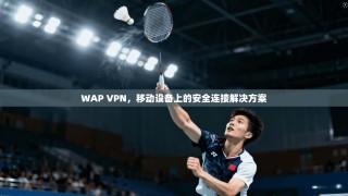 WAP VPN，移动设备上的安全连接解决方案