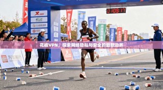 花椒VPN，探索网络隐私与安全的最新边界