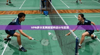 VPN多分支网络架构设计与实现