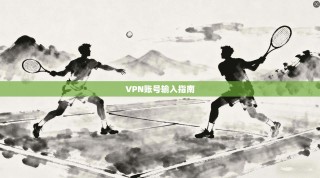 VPN账号输入指南