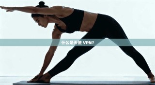 什么是天使 VPN？