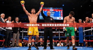 一键安装VPN，轻松享受安全的网络连接