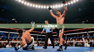 iOS VPN设置指南