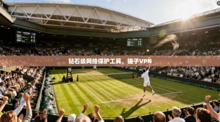 钻石级网络保护工具，锤子VPN