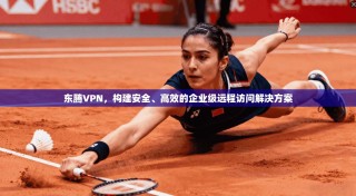 东腾VPN，构建安全、高效的企业级远程访问解决方案