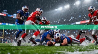 VPN市场报告