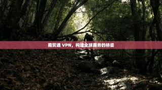 商贸通 VPN，构建全球商务的桥梁