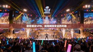 国密算法VPN，保障网络安全的利器
