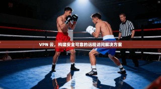 VPN 云，构建安全可靠的远程访问解决方案