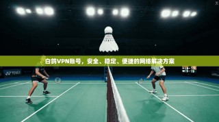 白鸽VPN账号，安全、稳定、便捷的网络解决方案
