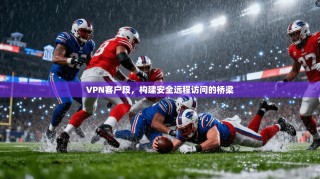 VPN客户段，构建安全远程访问的桥梁
