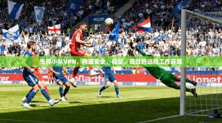 生存小队VPN，构建安全、稳定、高效的远程工作环境