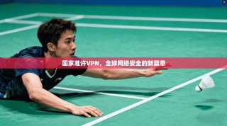 国家准许VPN，全球网络安全的新篇章