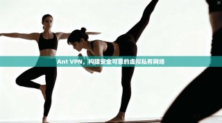 Ant VPN，构建安全可靠的虚拟私有网络