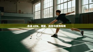 合法 VPN，理解、选择与使用指南