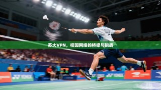 苏大VPN，校园网络的桥梁与挑战