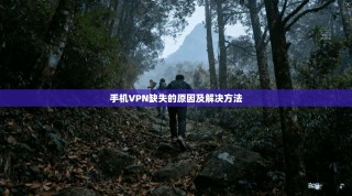 手机VPN缺失的原因及解决方法