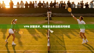 VPN 封装技术，构建安全的远程访问桥梁