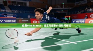 免费VPN France，探索无限制的互联网体验