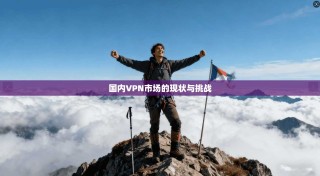 国内VPN市场的现状与挑战