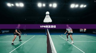 VPN转发路径