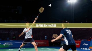 如何查看VPN流量