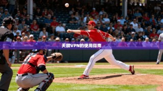 天麟VPN的使用指南