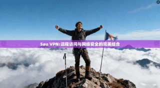 Sau VPN:远程访问与网络安全的完美结合