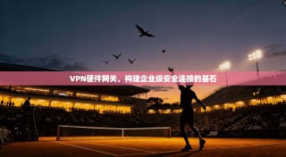 VPN硬件网关，构建企业级安全连接的基石