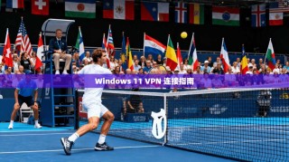 Windows 11 VPN 连接指南