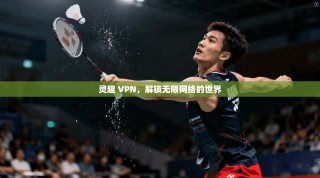 灵趣 VPN，解锁无限网络的世界