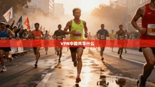 VPN中能共享什么