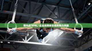 国内云 VPN，企业级网络安全的有力保障