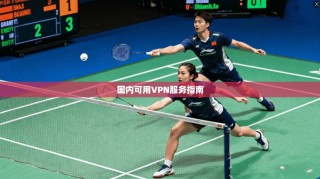 国内可用VPN服务指南